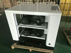 7 til 10 Bar Flettu olíufrítt loftþjöppu